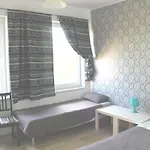 B&B Happy Rose